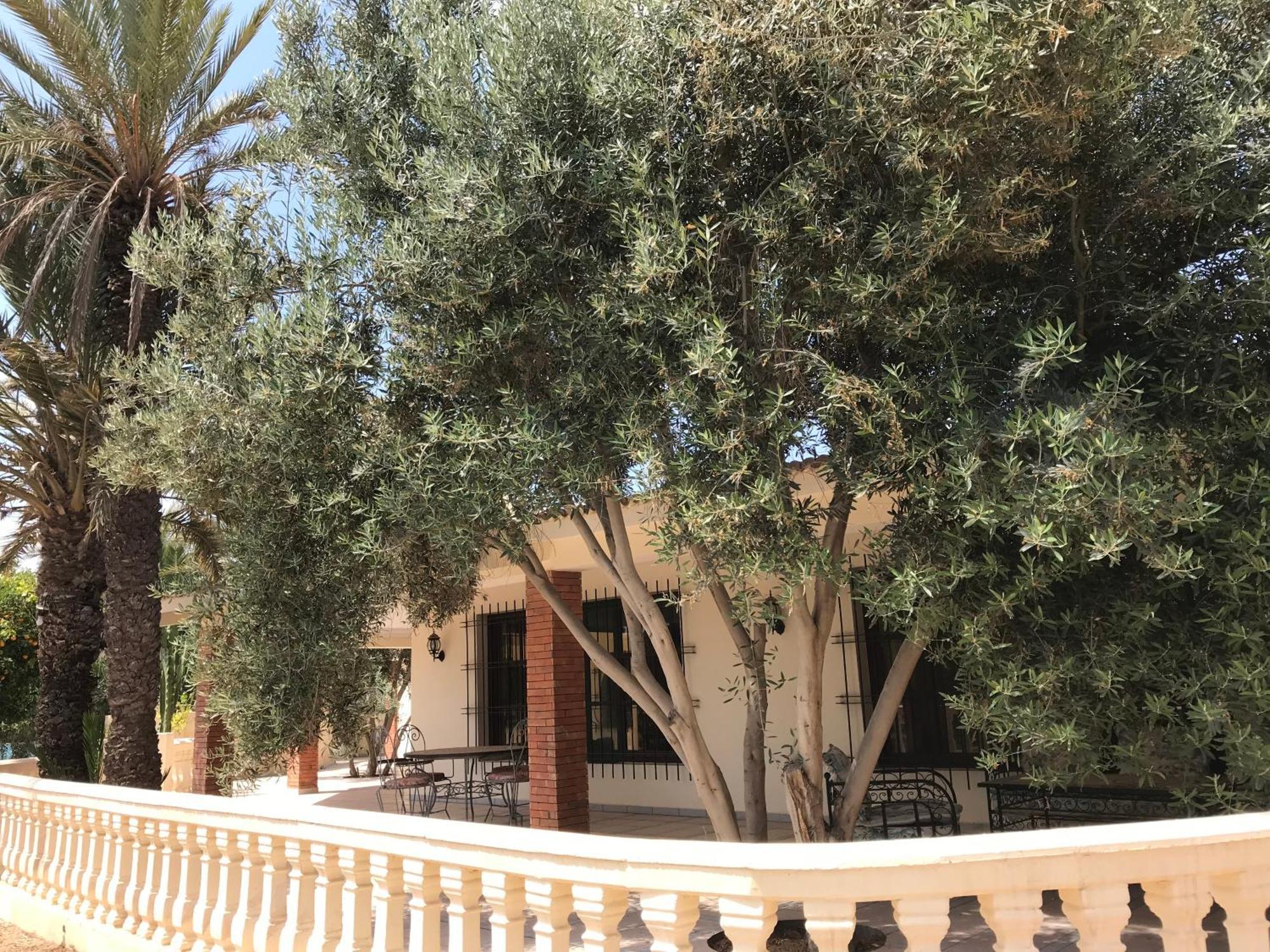 Tiguimi Vacances - Oasis Villas, Cadre Naturel Et Vue Montagne Agadir Buitenkant foto
