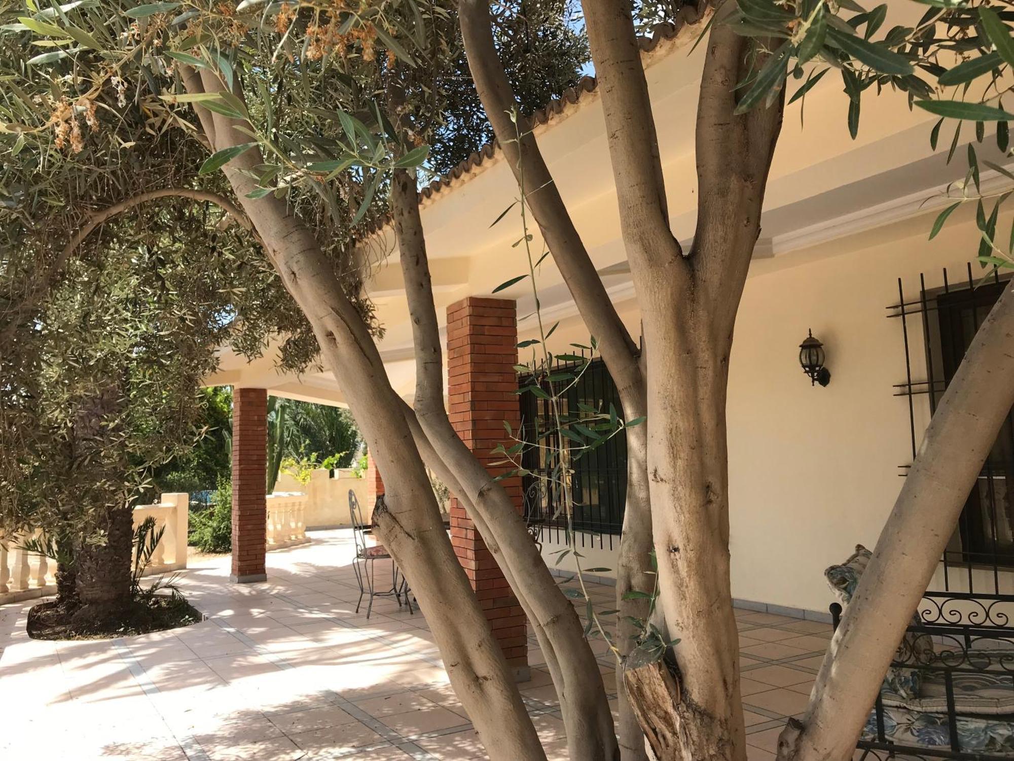 Tiguimi Vacances - Oasis Villas, Cadre Naturel Et Vue Montagne Agadir Buitenkant foto