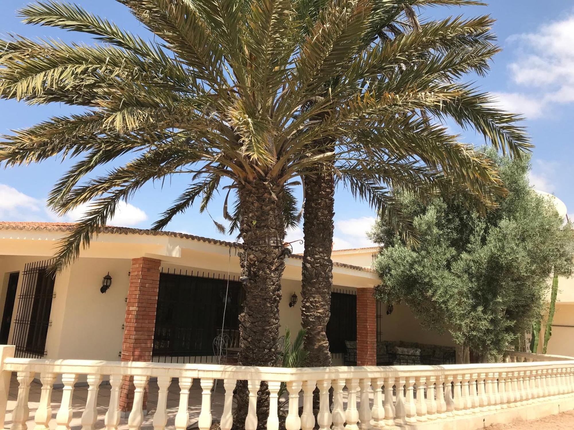 Tiguimi Vacances - Oasis Villas, Cadre Naturel Et Vue Montagne Agadir Buitenkant foto