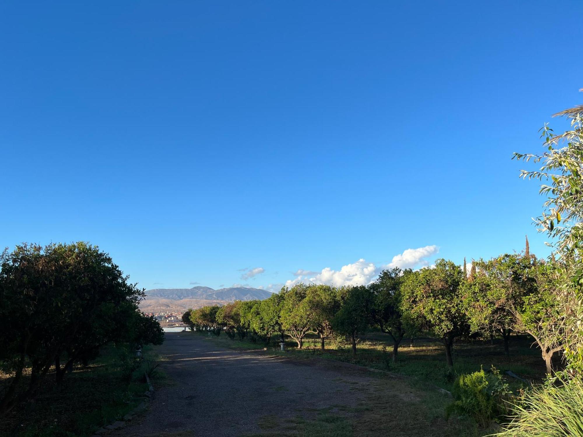 Tiguimi Vacances - Oasis Villas, Cadre Naturel Et Vue Montagne Agadir Buitenkant foto