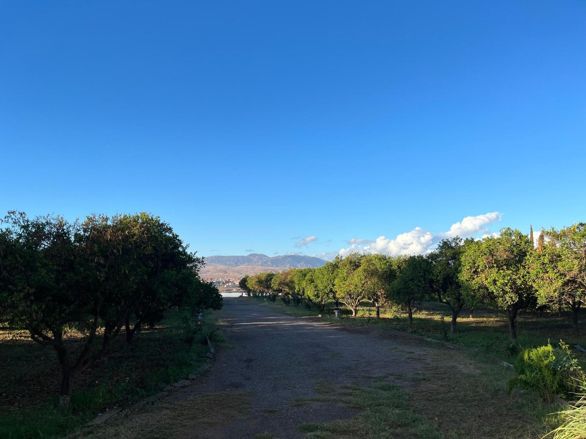 Tiguimi Vacances - Oasis Villas, Cadre Naturel Et Vue Montagne Agadir Buitenkant foto